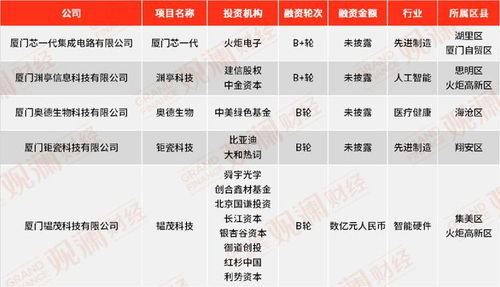 2023上半年廈門創業企業投融資盤點 工業互聯網與數據服務引領風潮，產業集中度顯著提升